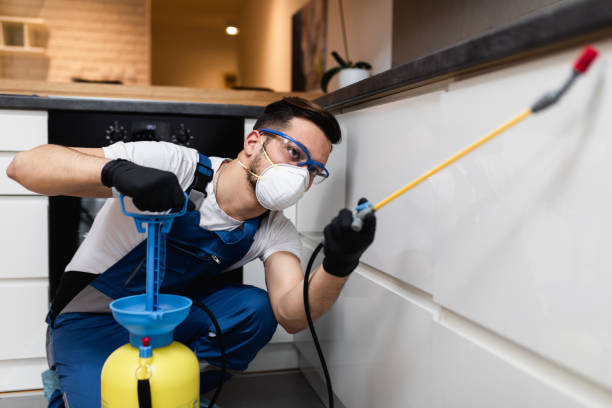 Best Pest Control Near Me  in Cumberland, WI