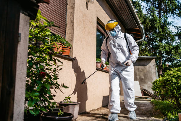 Reliable Cumberland, WI Pest Control Solutions