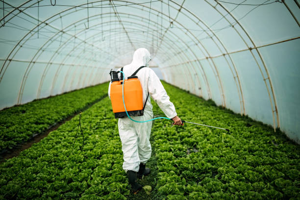 Best Best Pest Control Companies  in Cumberland, WI