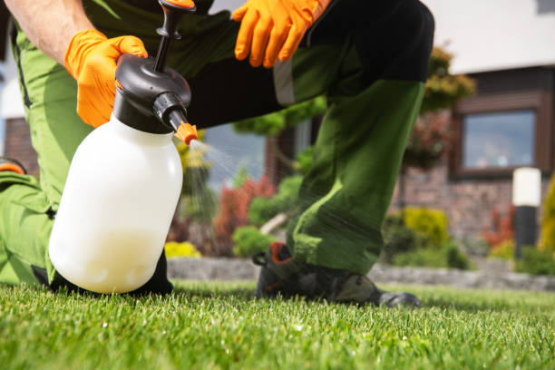 Best Pest Inspection Near Me  in Cumberland, WI