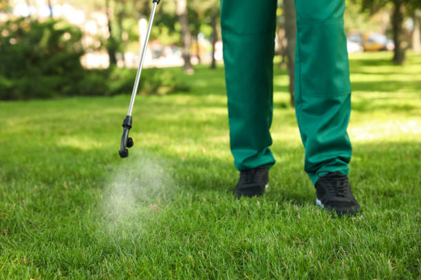 Best Flea Control Services  in Cumberland, WI