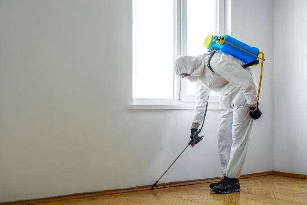 Best Wasp Removal Services  in Cumberland, WI